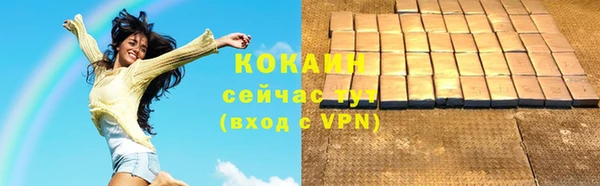 ешки Вяземский