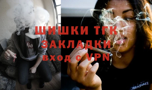 ешки Вяземский