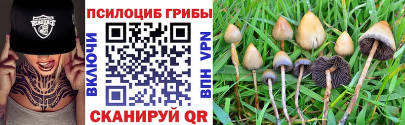 Галлюциногенные грибы Psilocybe  Купить  Лукоянов 